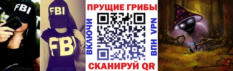 купить   Таштагол  Псилоцибиновые грибы Magic Shrooms 